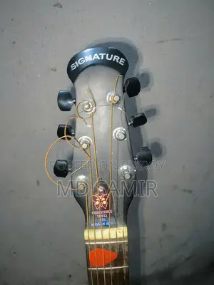 Signature Guitar