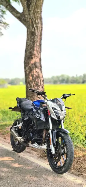 Roadmaster Rapido . 2022