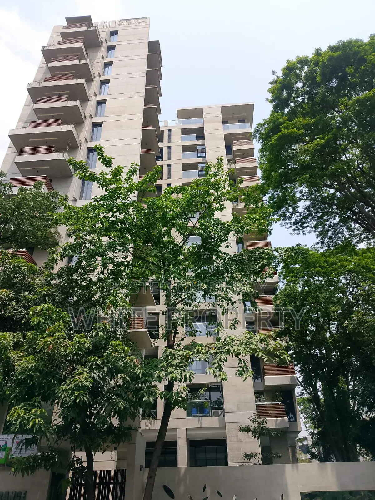 Brand New Apartment Sale at Dhanmondi 15A
