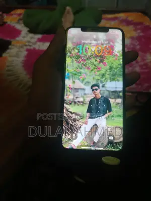 Apple iPhone XS Max (Used)