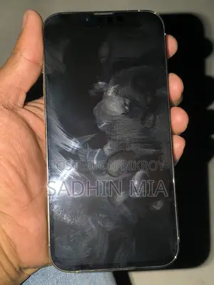 Apple iPhone 13 Pro (Used)