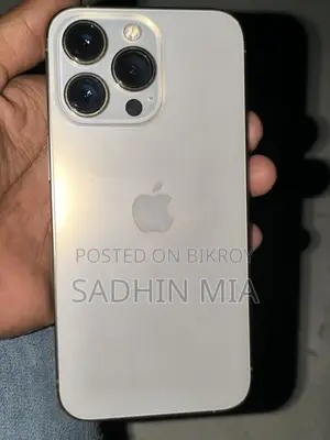 Apple iPhone 13 Pro (Used)