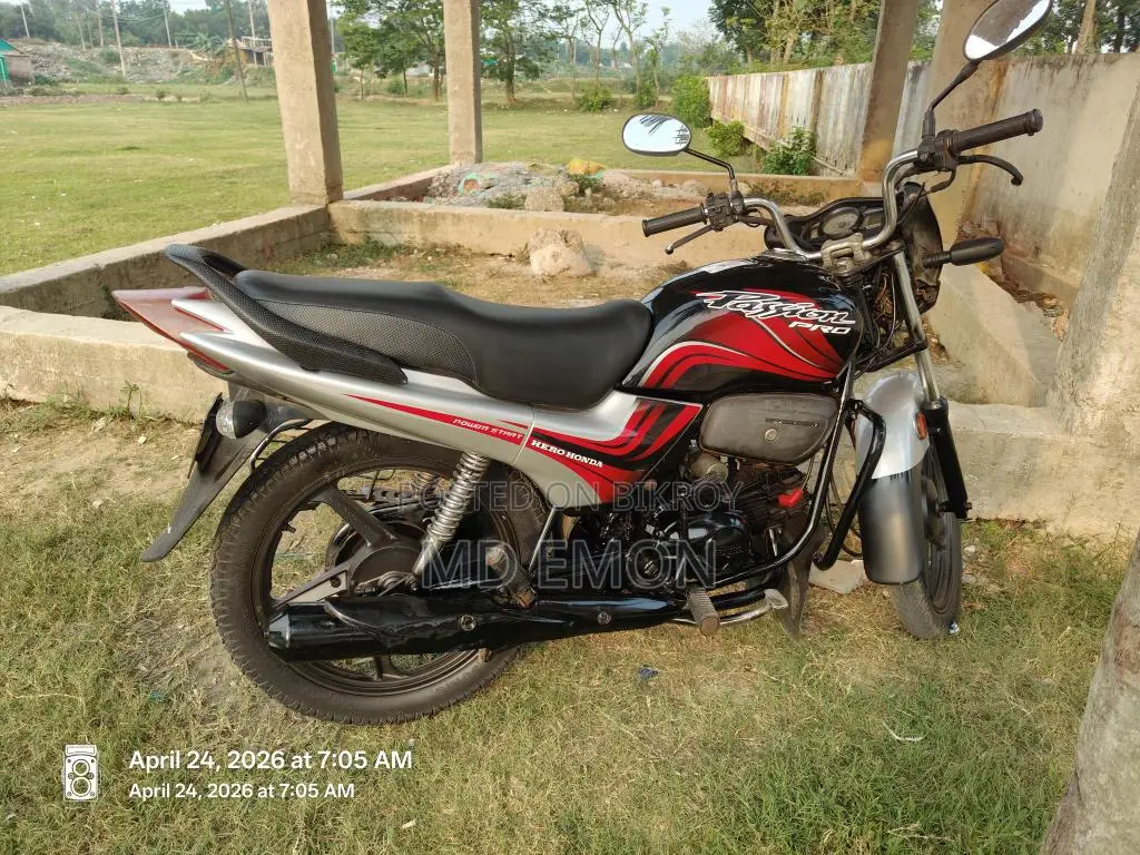 Hero Passion Pro . 2010