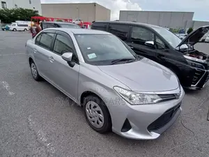 Toyota Axio Non Hybrid EX Silver 2020