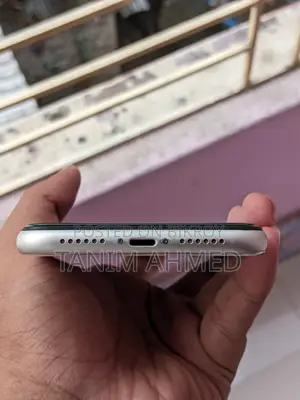 Apple iPhone 11 (Used)