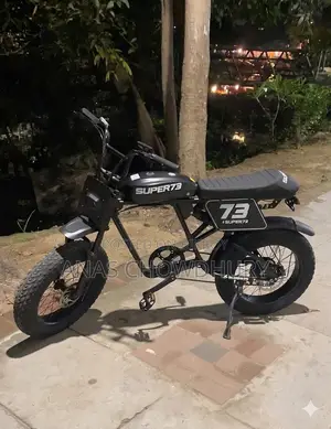 ই-বাইক বিক্রি ২০২৬