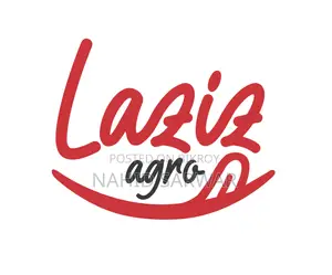 Customer Support Executive