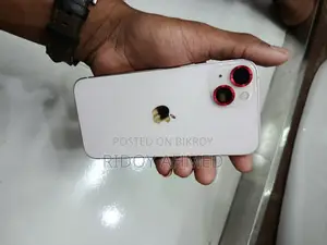 Apple iPhone 13 (Used)