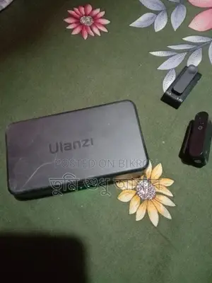 Ulanzi A 100, Microphone