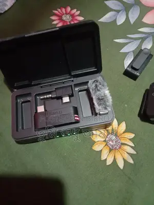 Ulanzi A 100, Microphone