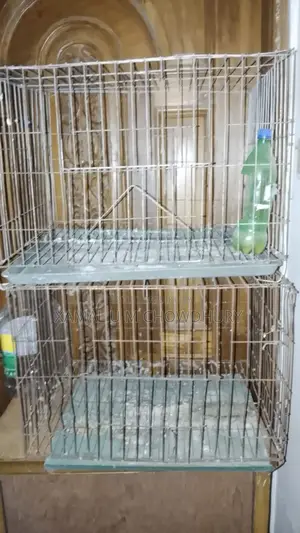 পাখির খাঁচা