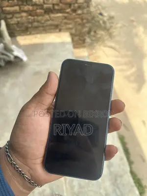 Apple iPhone 12 (Used)