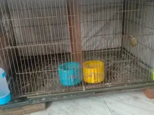 খাঁচা বিক্রি