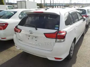 Toyota Fielder Ex--Pack. 2020