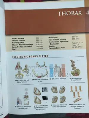 Netter's Atlas Of Human Anatomy 8th Edition