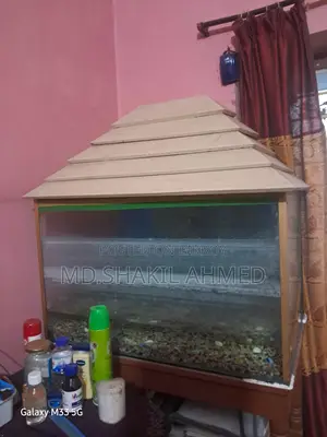 মাছের একুরিয়াম