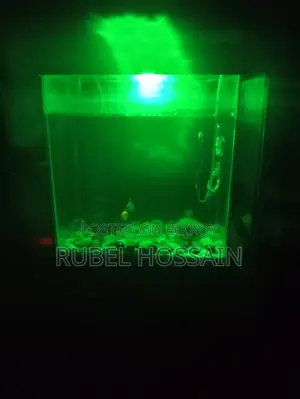 একুরিয়াম