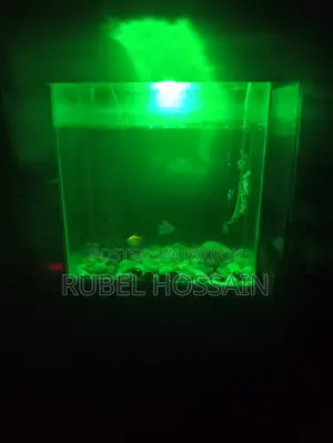 একুরিয়াম