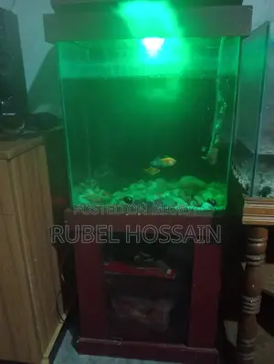 একুরিয়াম