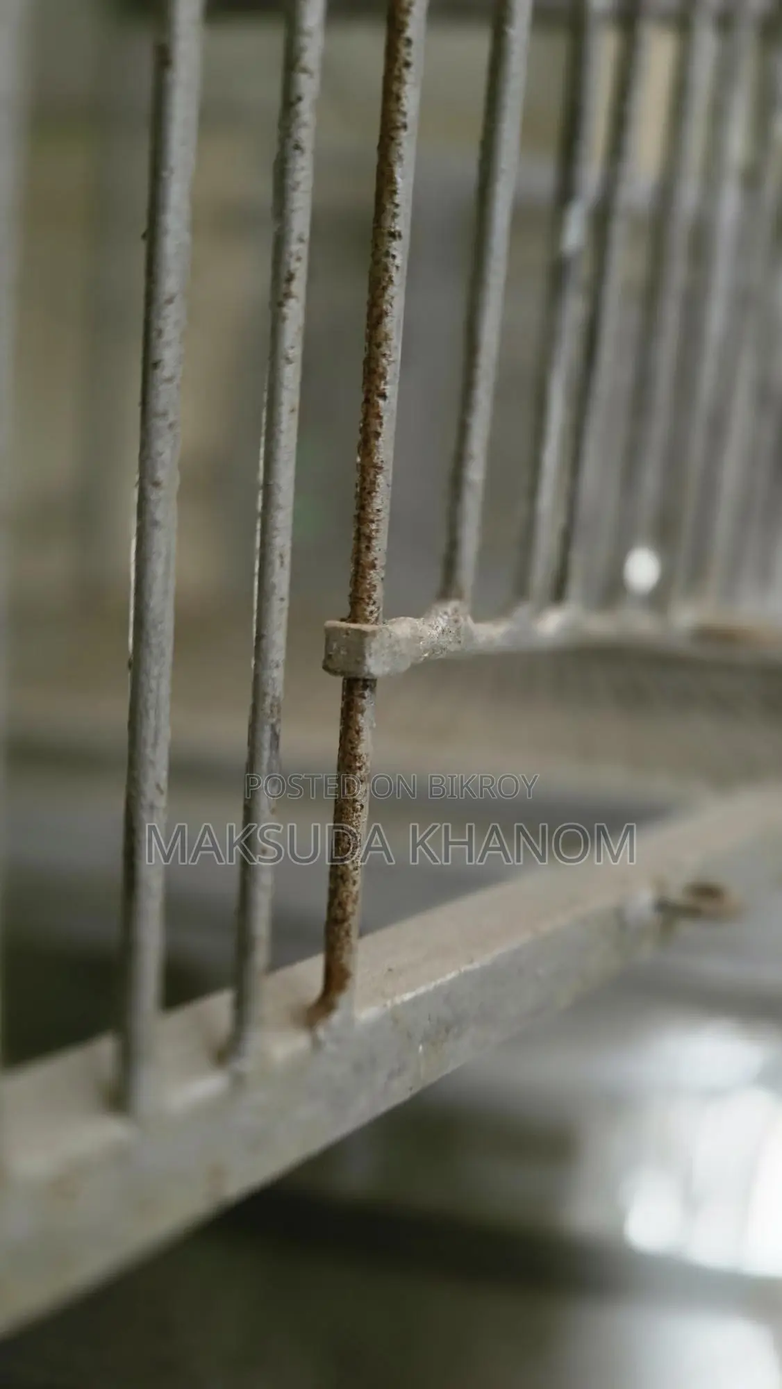 পাখির খাঁচা