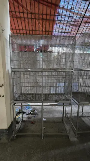 পাখির খাঁচা