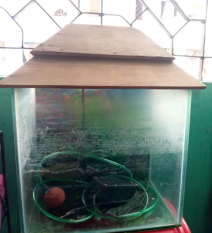 Fish Aquarium for Sale
