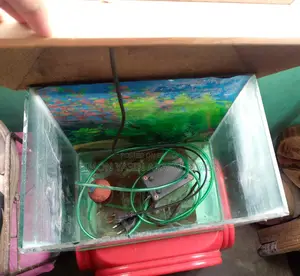 Fish Aquarium for Sale