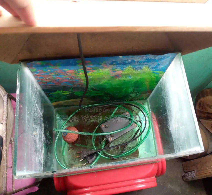 Fish Aquarium for Sale