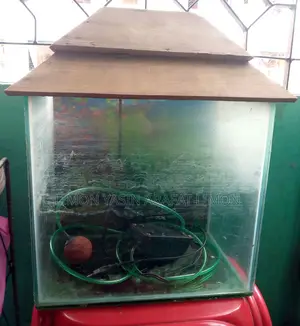 Fish Aquarium for Sale