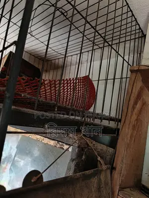 কবুতরের খাঁচা