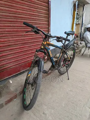 Phoenix Cycle