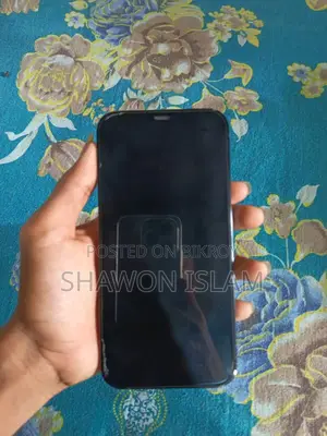 Apple iPhone 12 Pro Max 6/256 (Used)