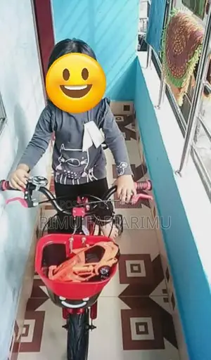 Bicycle for Sale