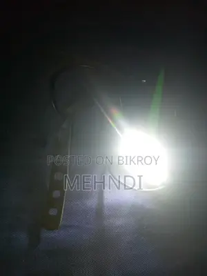 Bicycle Light