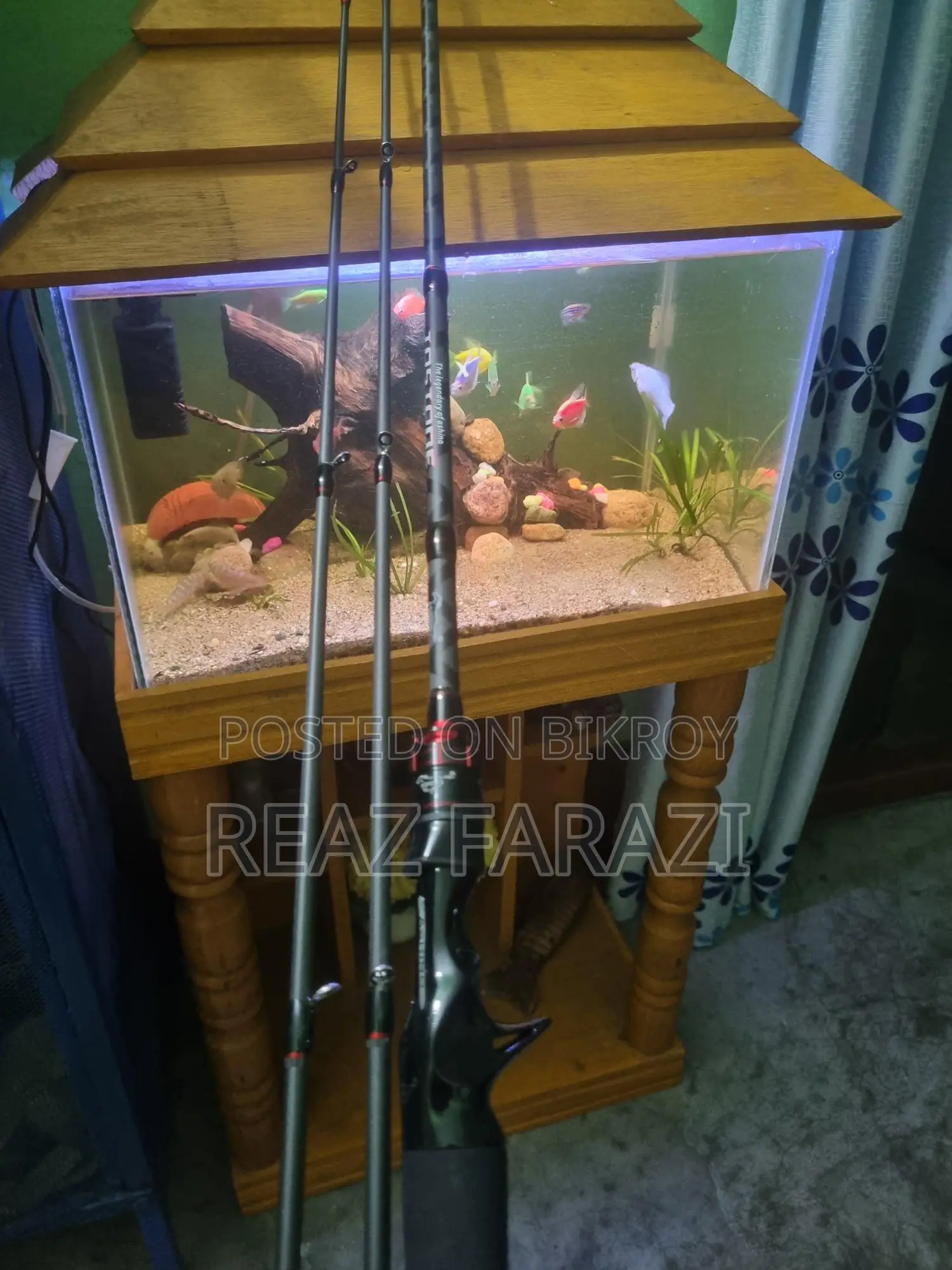 Fishing Reel and Rod