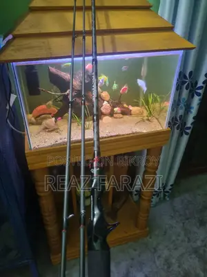 Fishing Reel and Rod