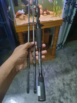 Fishing Reel and Rod