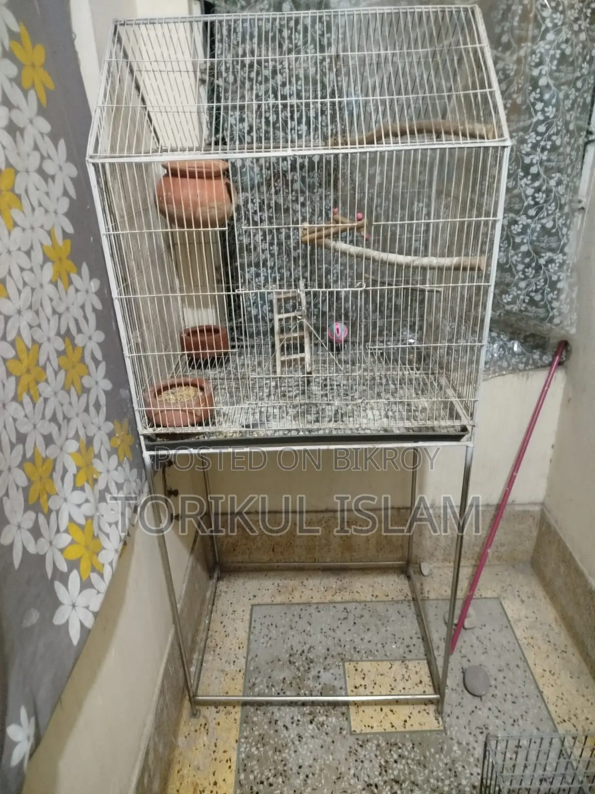 Bird Cages