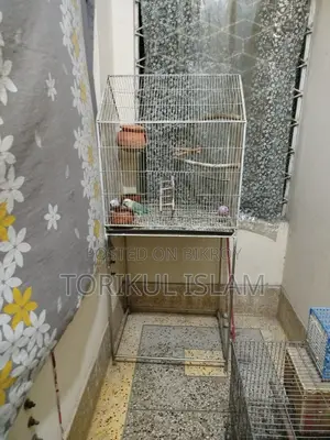 Bird Cages