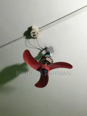 New Fan