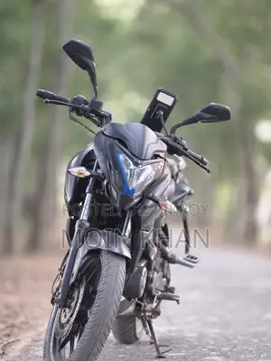 Bajaj Pulsar NS 160 2019