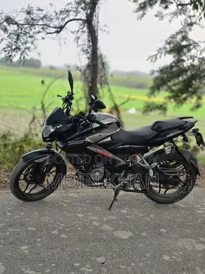 Bajaj Pulsar NS 160 2019