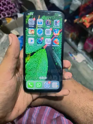 Apple iPhone X 256GB (Used)