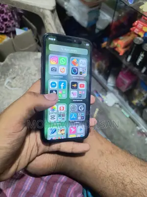 Apple iPhone X 256GB (Used)