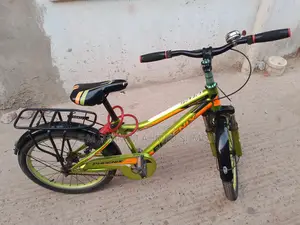 Phoenix Bicycle 20-inch