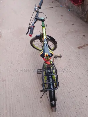 Phoenix Bicycle 20-inch