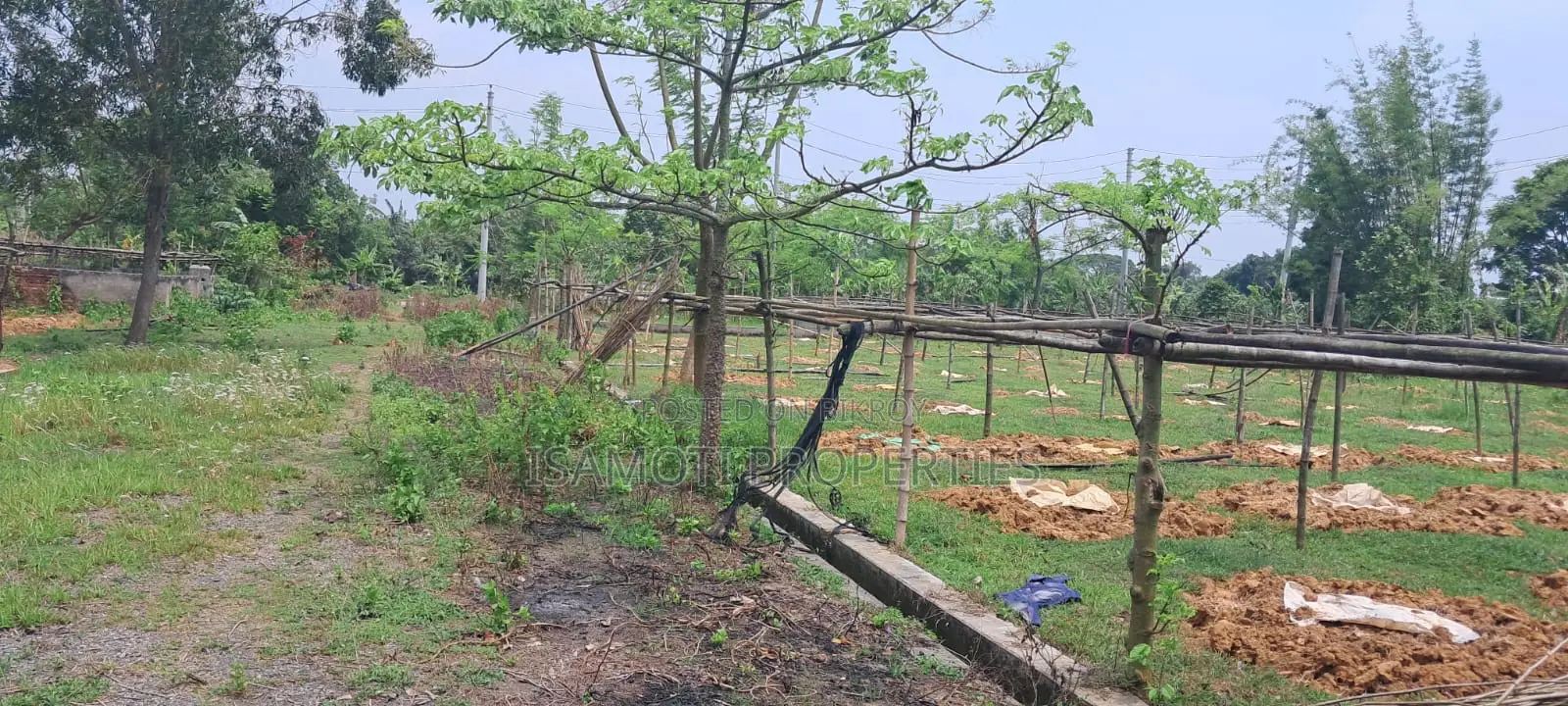 Lowest Budget 3 Katha Plot For Sale At Purbachal