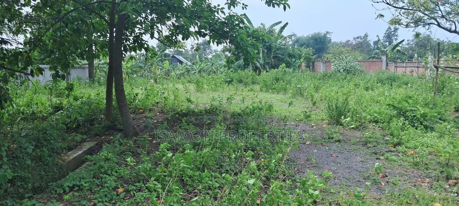 Lowest Budget 3 Katha Plot For Sale At Purbachal