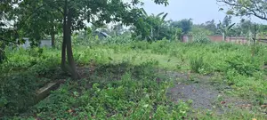 Lowest Budget 3 Katha Plot For Sale At Purbachal