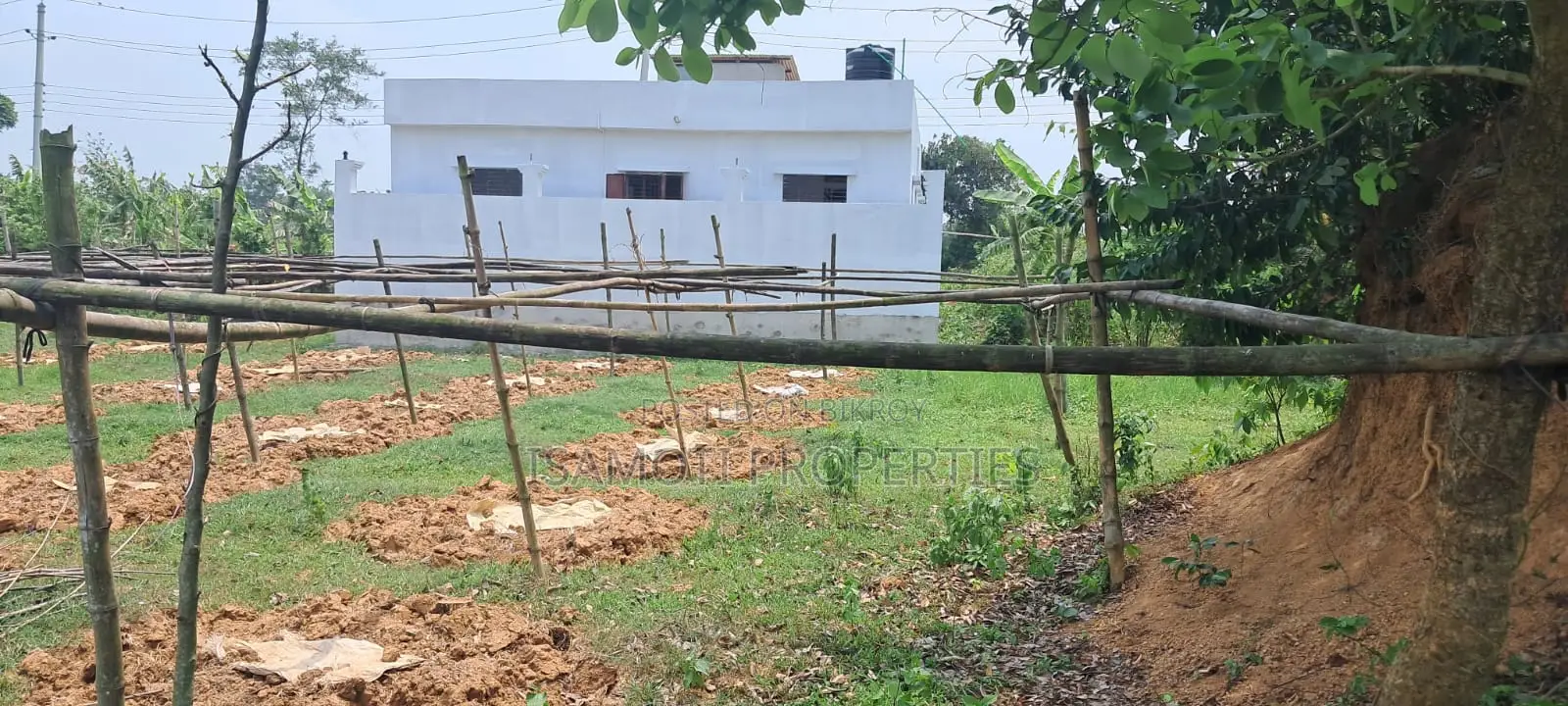 Lowest Budget 3 Katha Plot For Sale At Purbachal